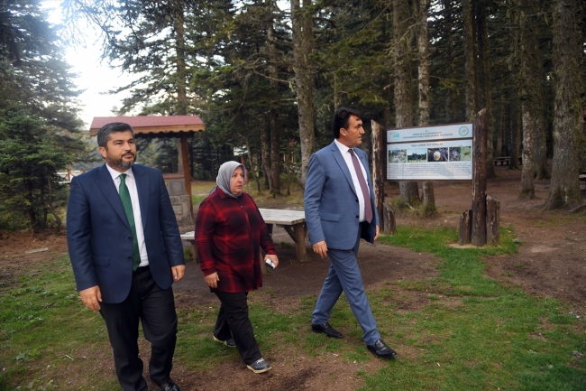 Uludağ endemik parklarla dünyaya açılacak